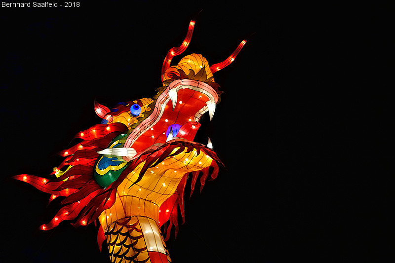 China Light Festival - Bernhard Saalfeld