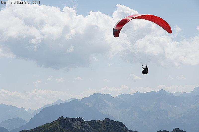 Gleitschirmflieger am Nebelhorn - Bernhard Saalfeld