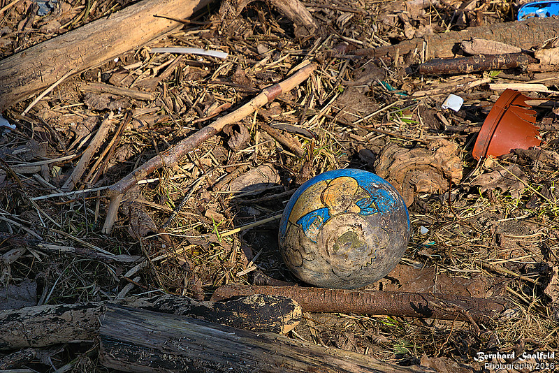 Flotsam - Bernhard Saalfeld - Lichtbildkunst