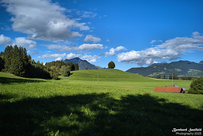 Bernhard Saalfeld