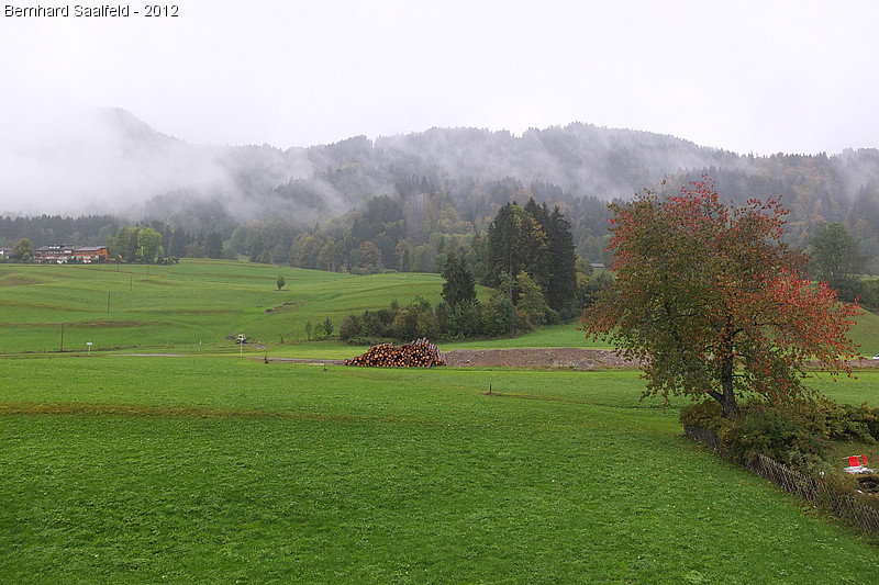 Bernhard Saalfeld